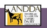 ANDDA LOGO IMAGE