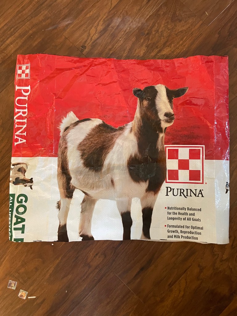 the tote bag portion of the feed sack, cut on both ends to form a large loop