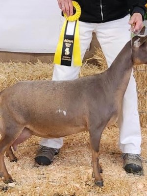 Last kidding &&nbsp;News