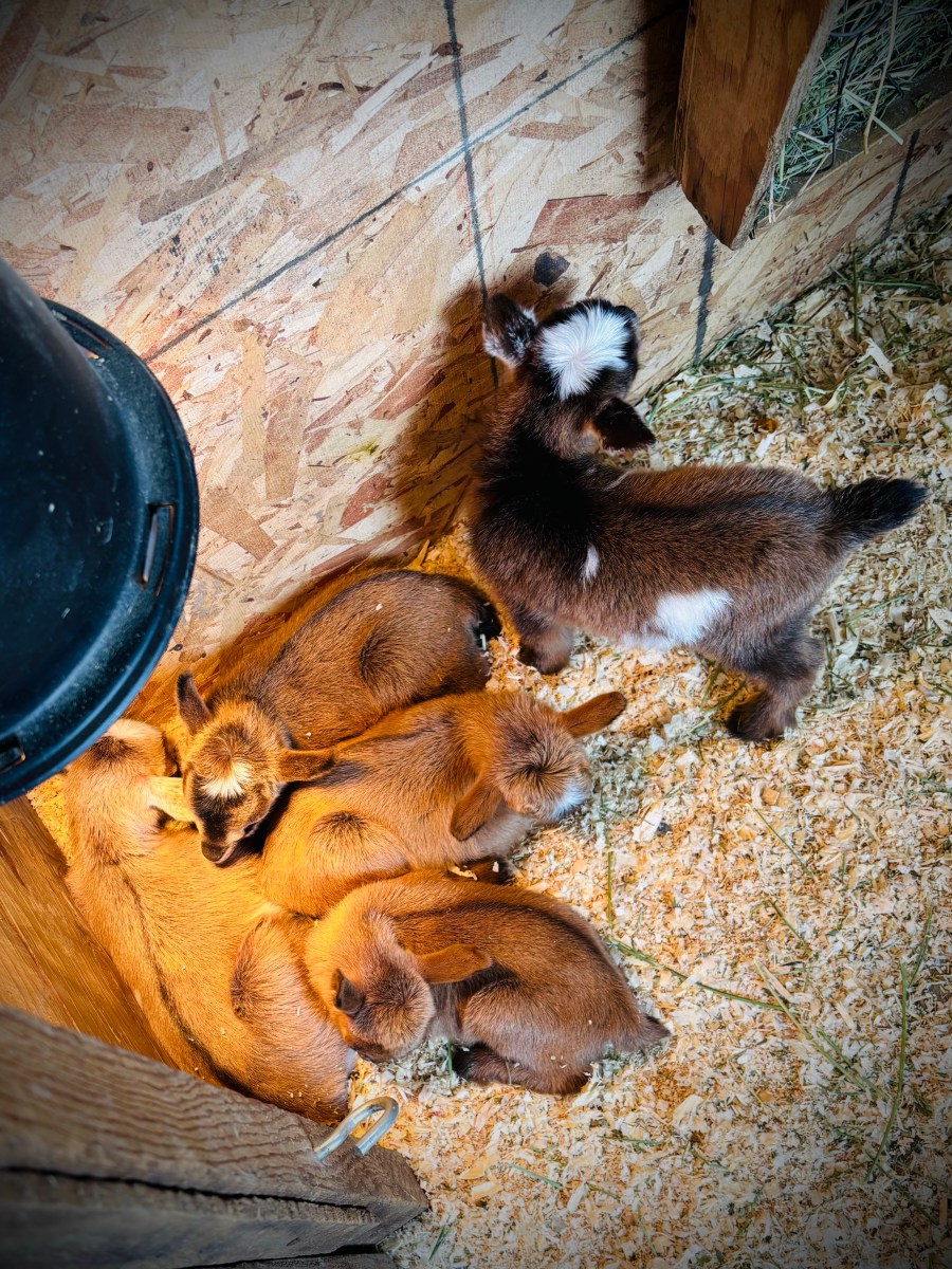 We’re done kidding&nbsp;2025